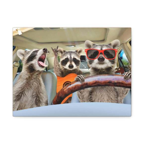 Express Your Love Gifts | Art | Funny Raccoon Silly Raccoon Couple Wall ...